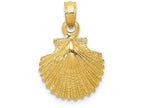 FJC Finejewelers 14k Yellow Gold Scallop Shell Charm