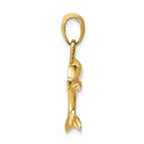 FJC Finejewelers 14k Yellow Gold Jumping Dolphin Charm