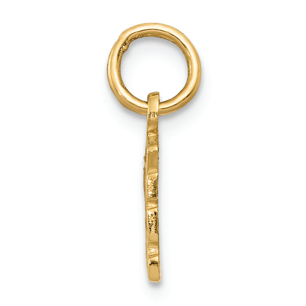 FJC Finejewelers 14k Yellow Gold Swiss Cheese Charm