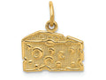 FJC Finejewelers 14k Yellow Gold Swiss Cheese Charm
