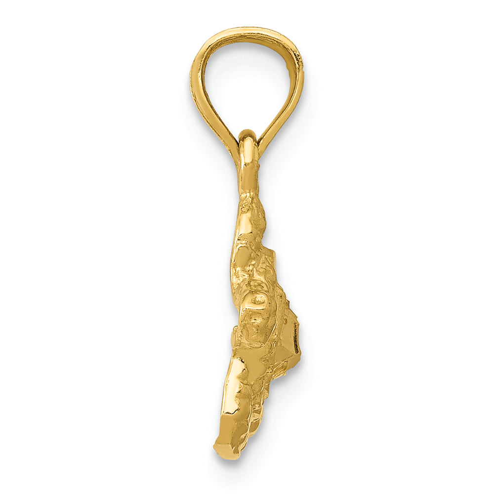 FJC Finejewelers 14k Yellow Gold Turtle Charm