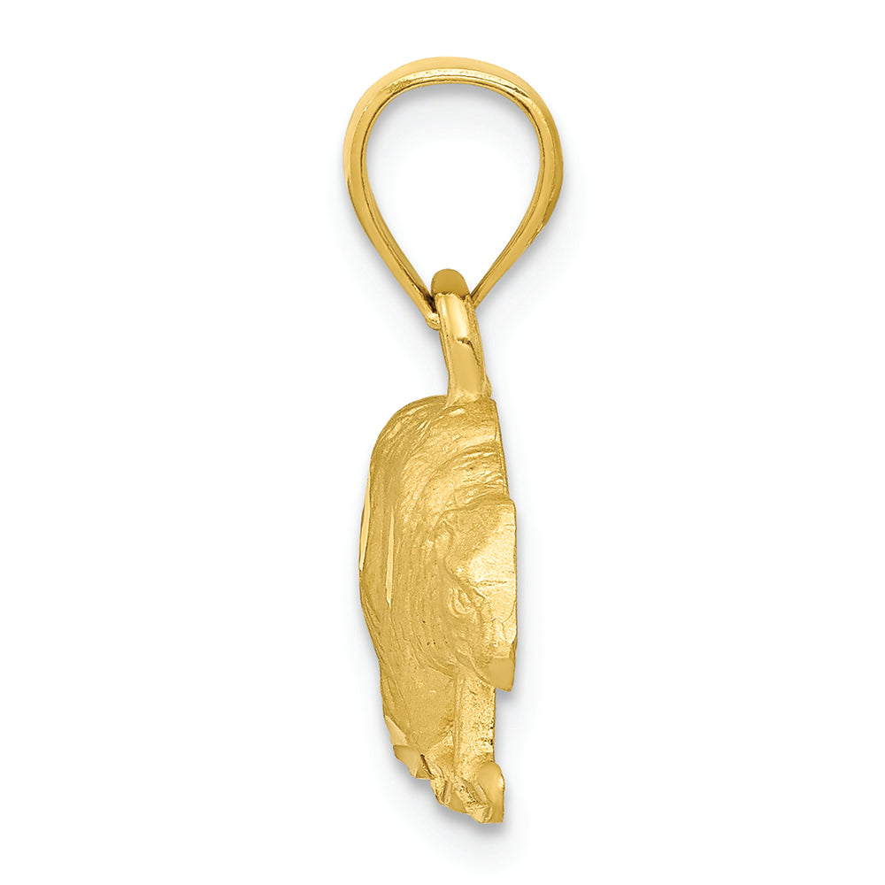 FJC Finejewelers 14k Yellow Gold Bright Cut Bear Charm