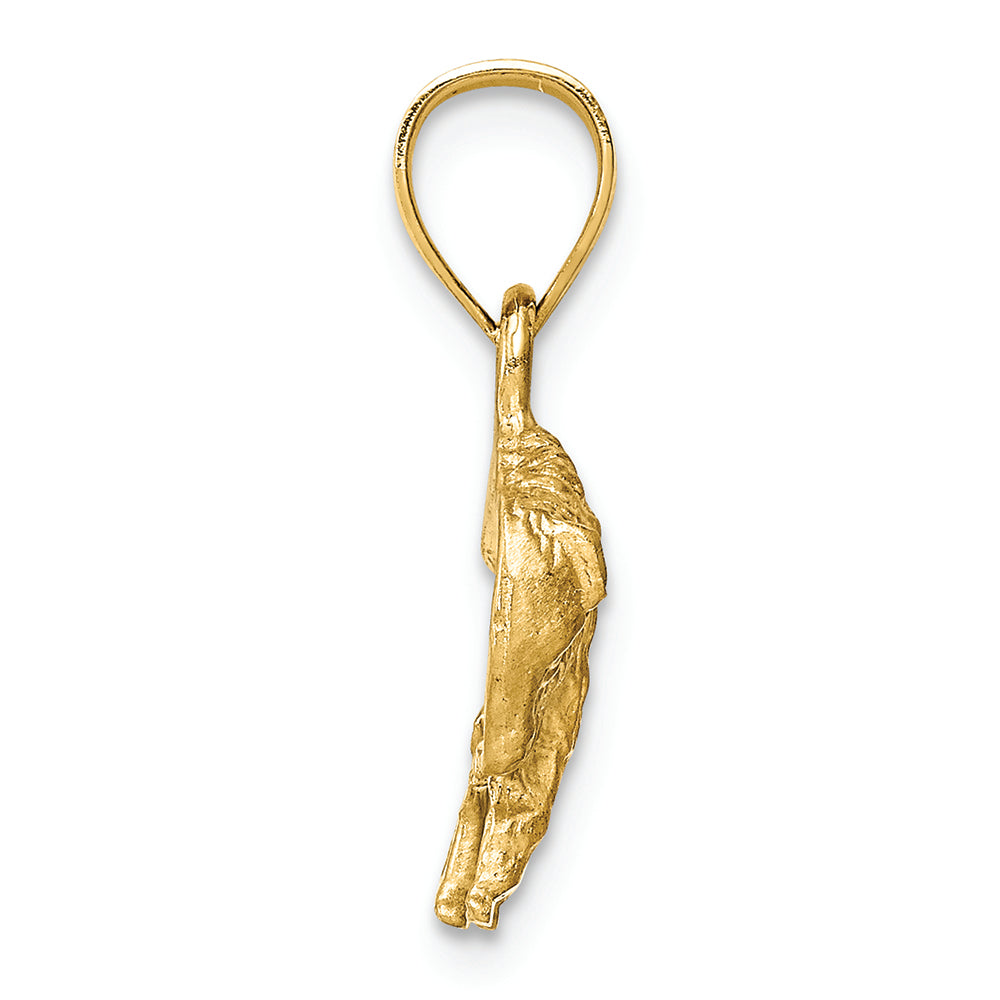 FJC Finejewelers 14k Yellow Gold Bright Cut Buffalo Charm