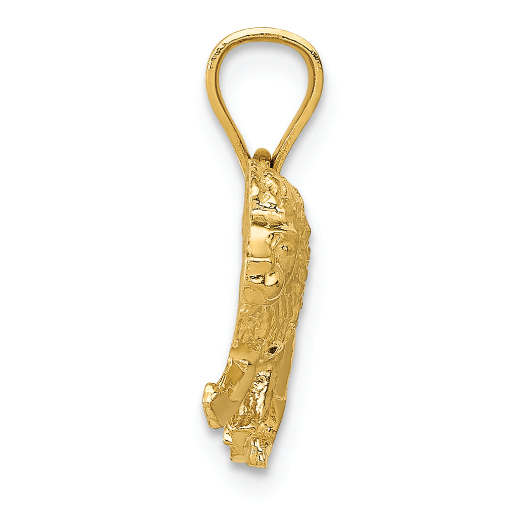 FJC Finejewelers 14k Yellow Gold Bright Cut Lion Charm