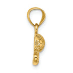 FJC Finejewelers 14k Yellow Gold Soccer Ball with Shoe Charm