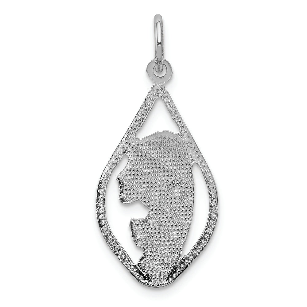 FJC Finejewelers 14k White Gold Mary Blessed Virgin Charm