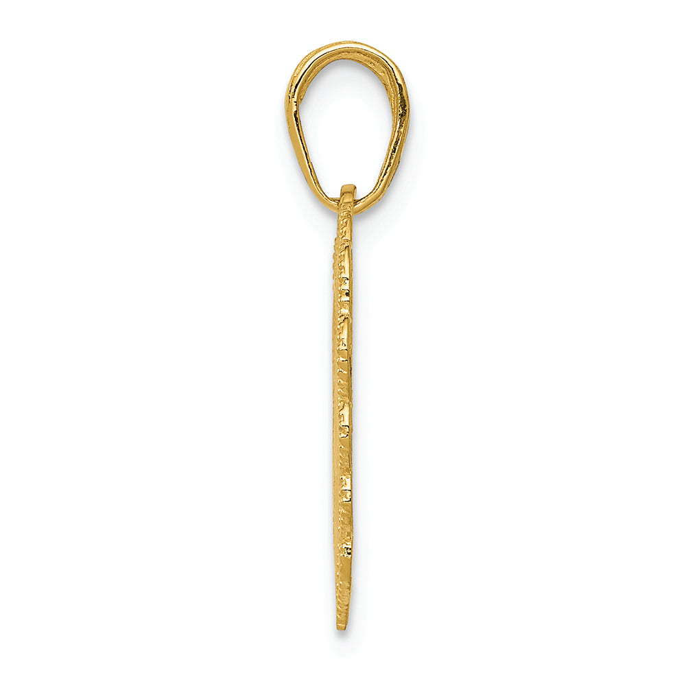 FJC Finejewelers 14k Yellow Gold Registered Nurse Heart Charm