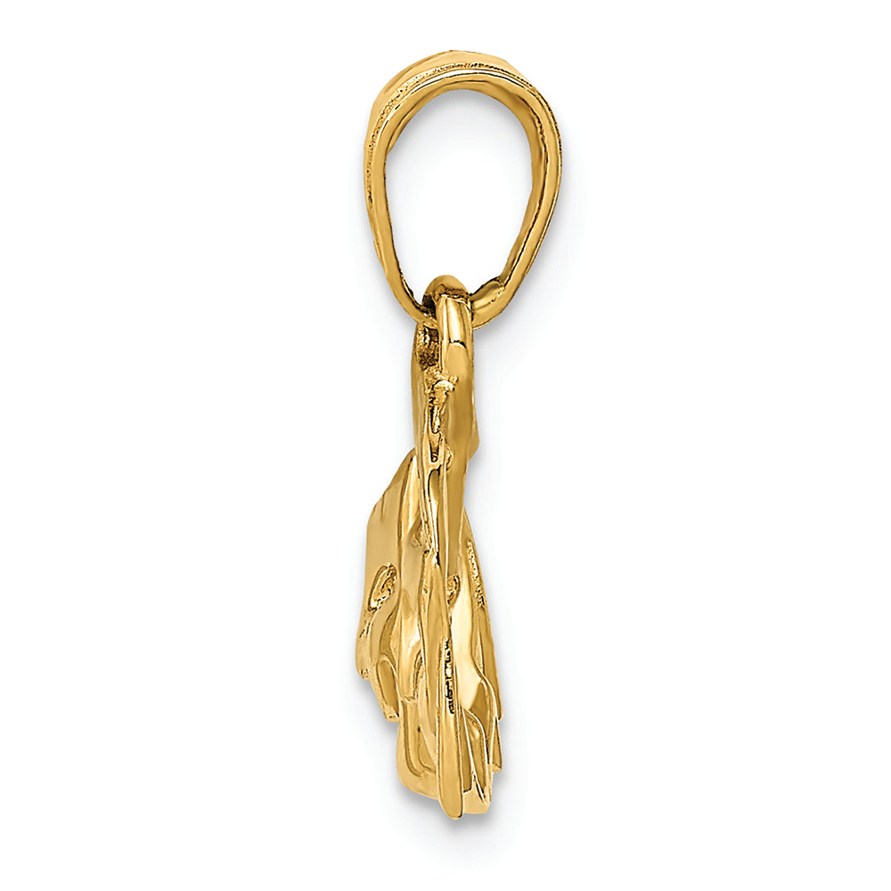 FJC Finejewelers 14k Yellow Gold Satin Polished Open-backed Comedytragedy Charm