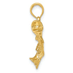 FJC Finejewelers 14k Yellow Gold Polished Textured Bass Fish Charm