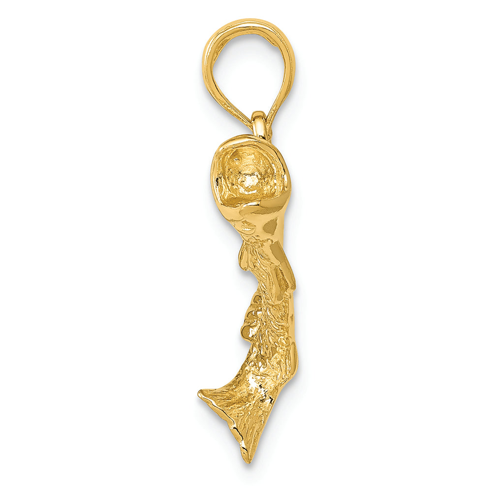 FJC Finejewelers 14k Yellow Gold Polished Textured Bass Fish Charm