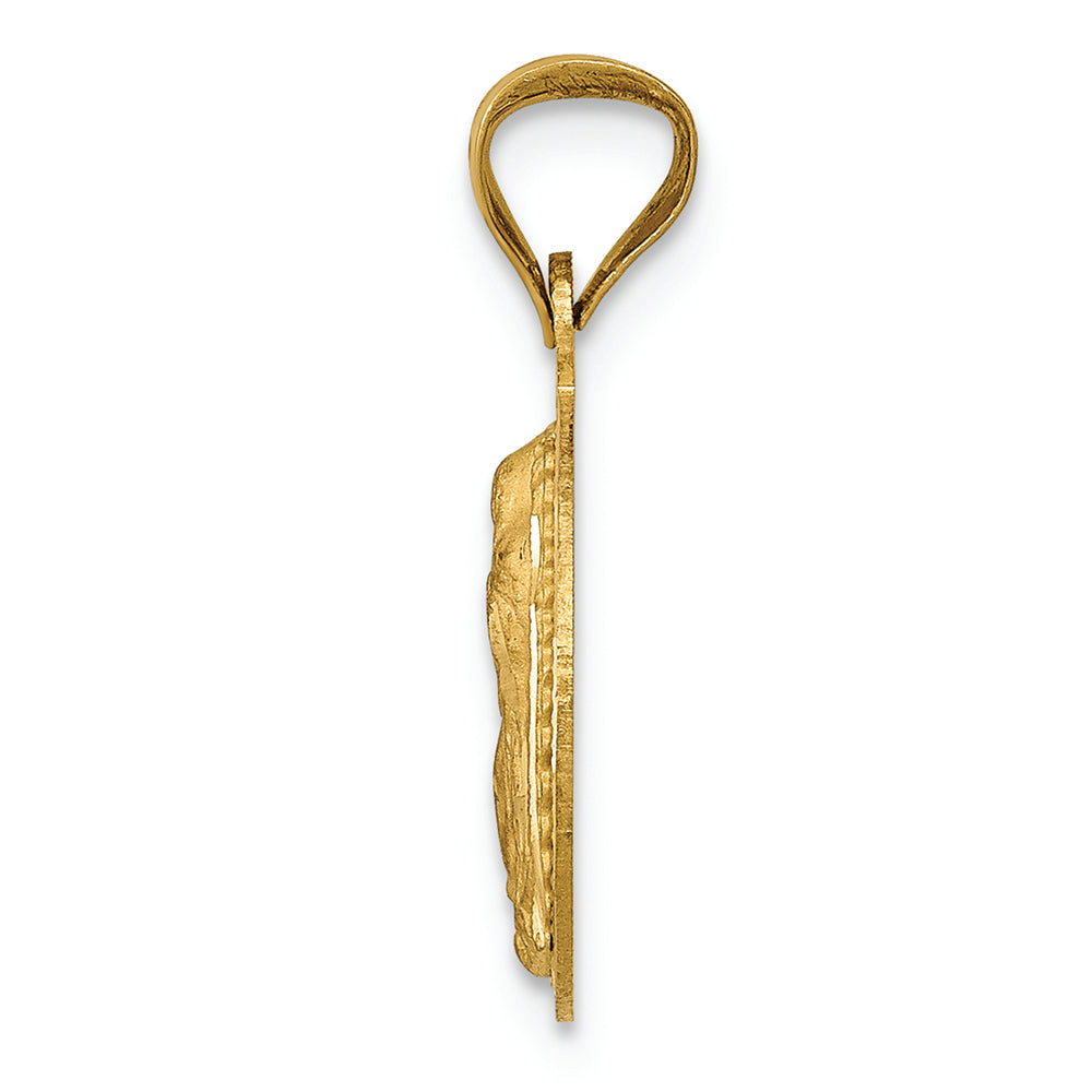 FJC Finejewelers 14k Yellow Gold with Rhodium Polished Bright Cut Lady Of Guadalupe Circle Charm