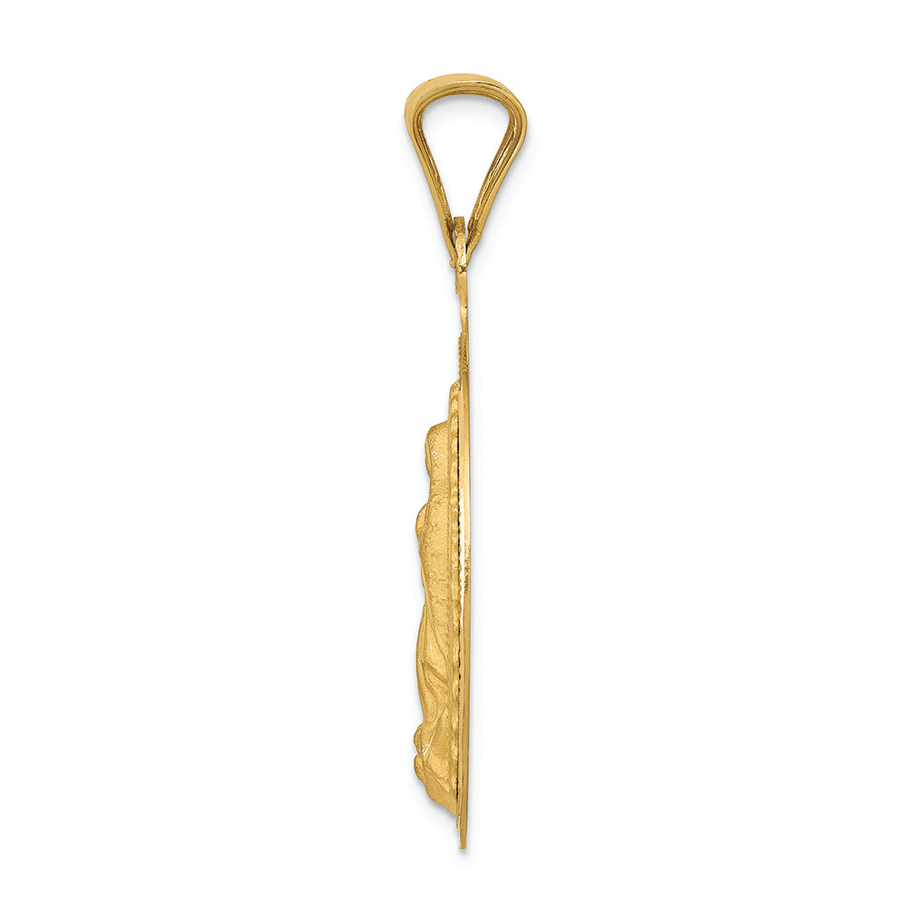 FJC Finejewelers 14k Yellow Gold with Rhodium Polished Bright Cut Lady Of Guadalupe Circle Charm