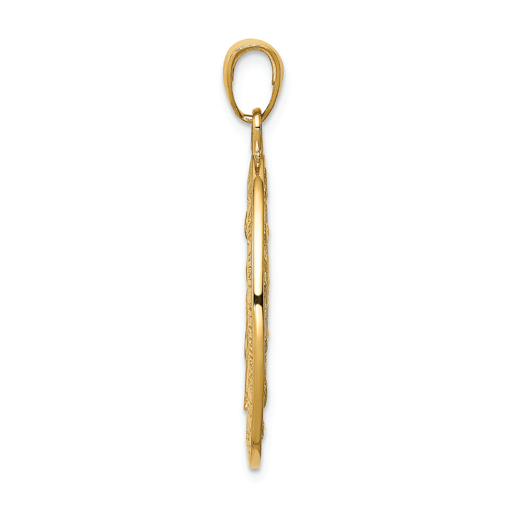 FJC Finejewelers 14k Yellow Gold Satin And Polished Finish Miraculous Medal Charm