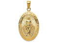 FJC Finejewelers 14k Yellow Gold Satin And Polished Finish Miraculous Medal Charm