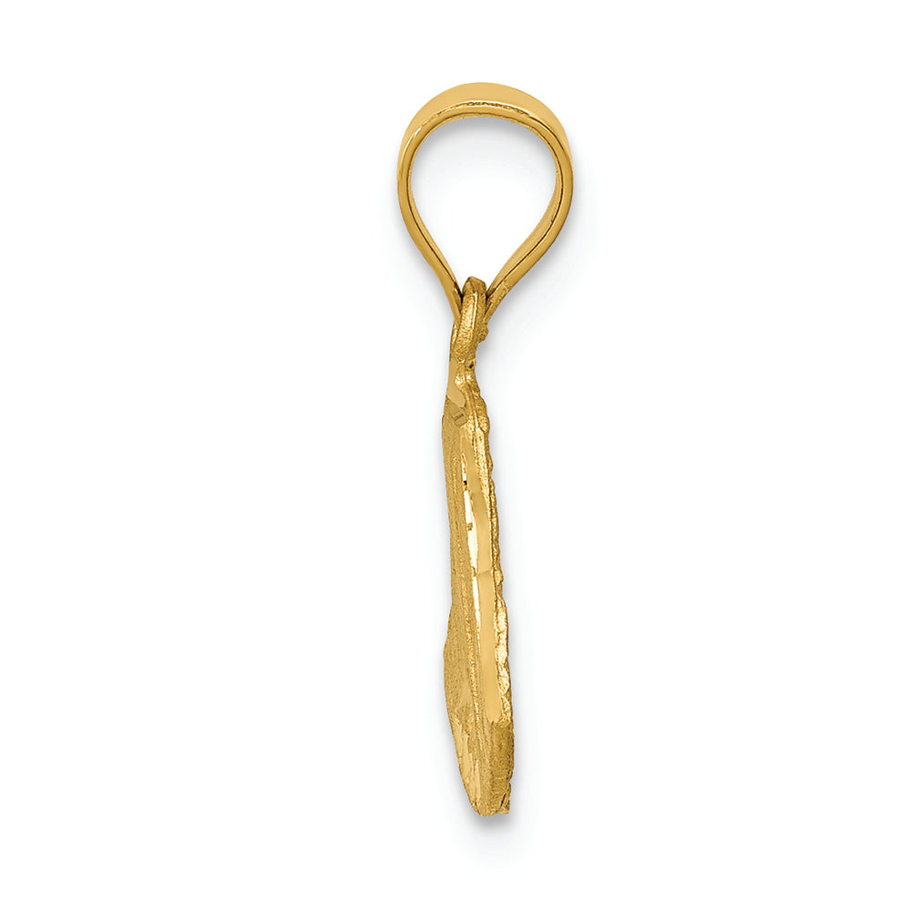FJC Finejewelers 14k Yellow Gold Satin Bright Cut Mary Charm