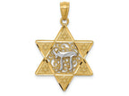 FJC Finejewelers 14k Two-tone Gold Polished Star Of David with Chai Charm