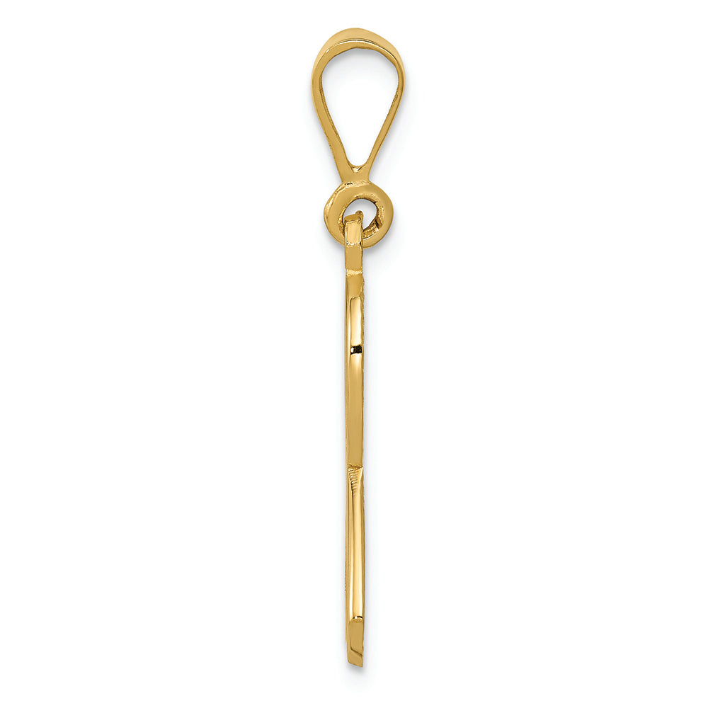 FJC Finejewelers 14k Yellow Gold Awareness Charm