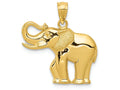 FJC Finejewelers 14k Yellow Gold Polished Satin Elephant Charm