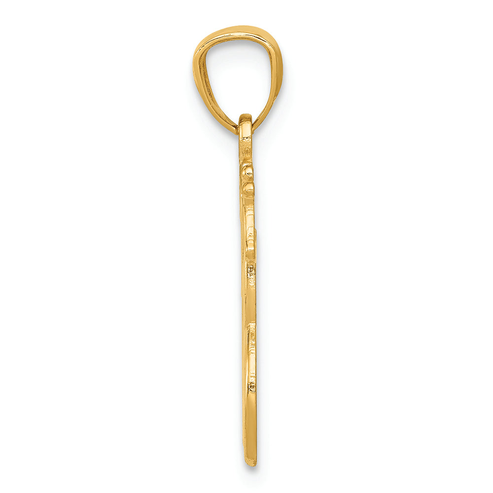 FJC Finejewelers 14k Yellow Gold Polished Interlocking Giraffes Charm