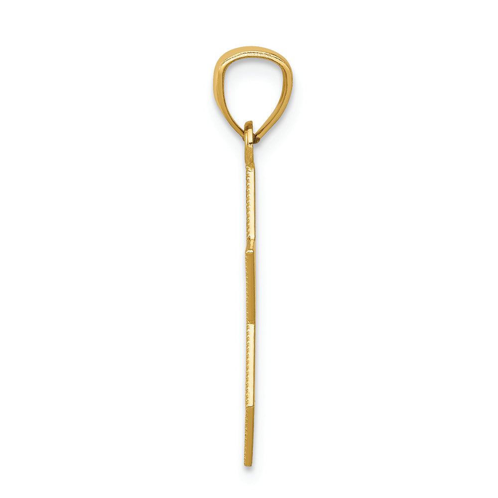 FJC Finejewelers 14k Yellow Gold with with Rhodium Star Of David with Chai Charm