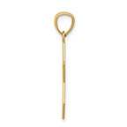 FJC Finejewelers 14k Yellow Gold with with Rhodium Star Of David with Chai Charm