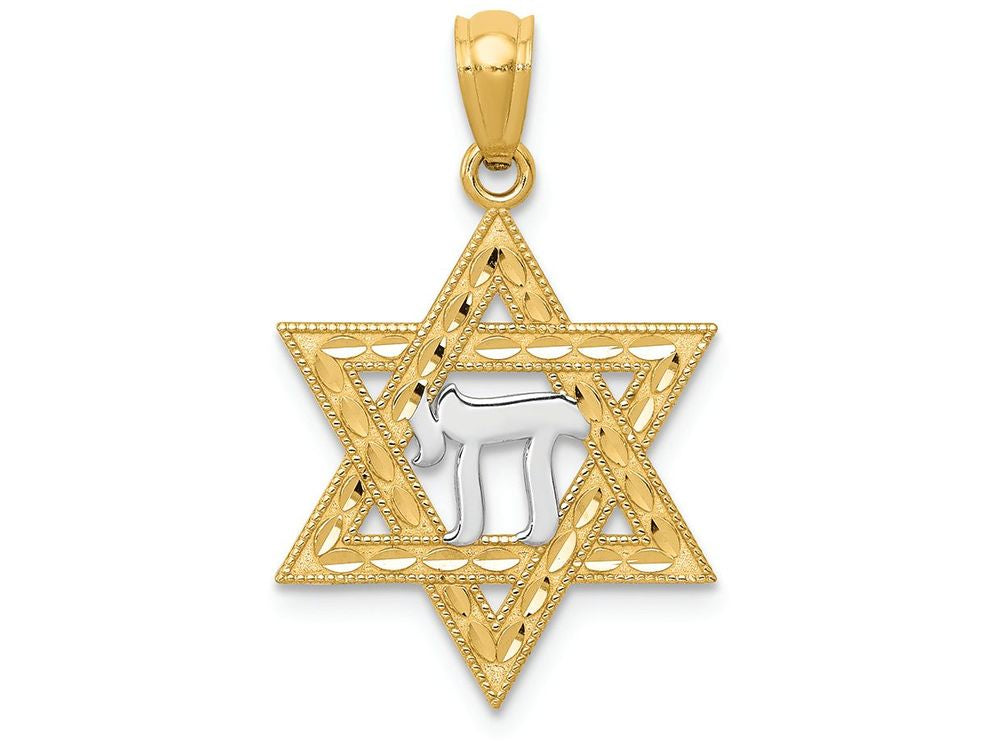 FJC Finejewelers 14k Yellow Gold with with Rhodium Star Of David with Chai Charm
