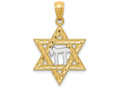 FJC Finejewelers 14k Yellow Gold with with Rhodium Star Of David with Chai Charm