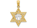 FJC Finejewelers 14k Yellow Gold with with Rhodium Star Of David with Chai Charm