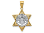 FJC Finejewelers 14k Two-tone Gold Star Of David Menorah Charm