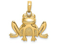 FJC Finejewelers 14k Yellow Gold Sitting Frog Charmtextured