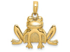 FJC Finejewelers 14k Yellow Gold Sitting Frog Charmtextured