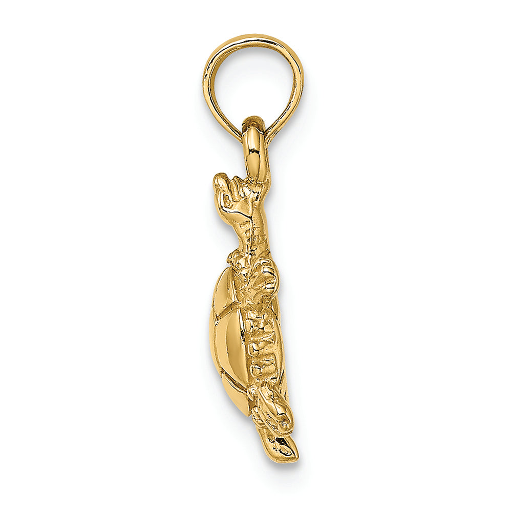 FJC Finejewelers 14k Yellow Gold 3d Land Turtle with Spiny Shell Charm