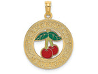 FJC Finejewelers 14k Yellow Gold Traverse City Mi On Round Frame with Red Cherry Center Charm