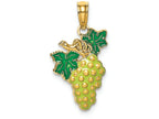 FJC Finejewelers 14k Yellow Gold Enamel Green Grapes with Stem Leaf Charm