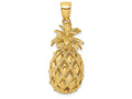 FJC Finejewelers 14k Yellow Gold 3d Pineapple Polish Text Charm