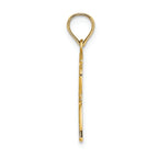 FJC Finejewelers 14k Yellow Gold Male Graduation Profile with Diploma - Charm