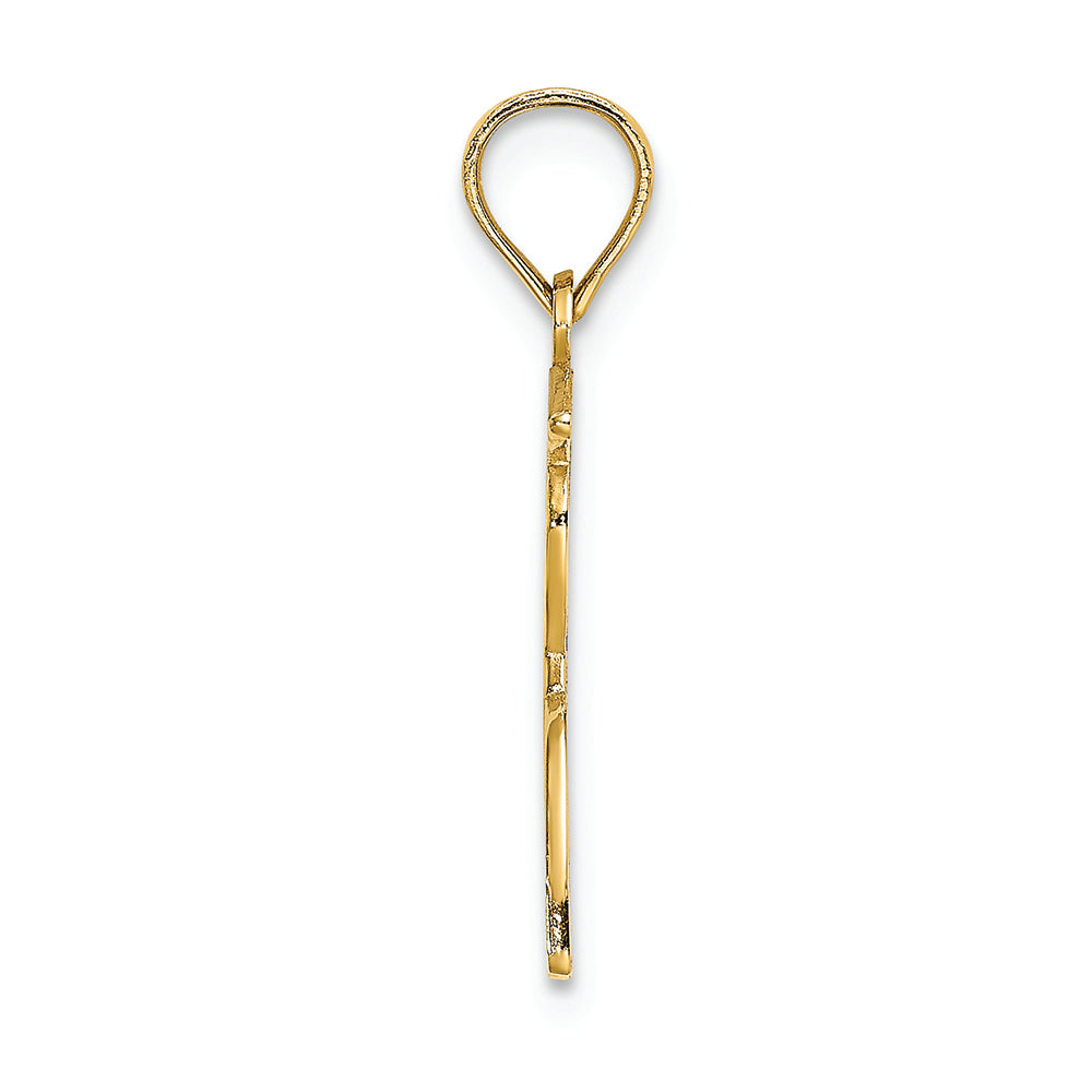 FJC Finejewelers 14k Yellow Gold Male Graduation Profile with Diploma - Charm