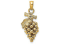 FJC Finejewelers 14k Yellow Gold 3d Grapes with Stem Leaf Charm