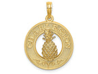 FJC Finejewelers 14k Yellow Gold Charleston On Round Frame with Pineapple Center Charm