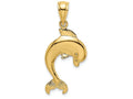 FJC Finejewelers 14k Yellow Gold Dolphin Jumping Polish Engraved Charm