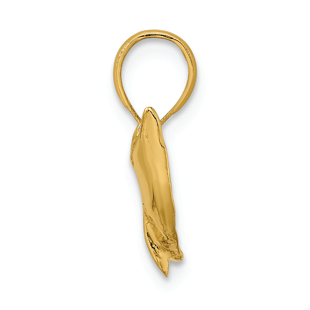 FJC Finejewelers 14k Yellow Gold Dolphin-tail Up Polish Charm