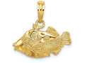 FJC Finejewelers 14k Yellow Gold Fish Polish Engraved Charm