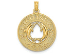 FJC Finejewelers 14k Yellow Gold Marco Island On Round Frame with Dolphins In Center Charm