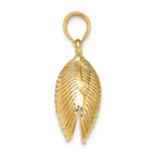 FJC Finejewelers 14k Yellow Gold 3d Clam Shell Charm