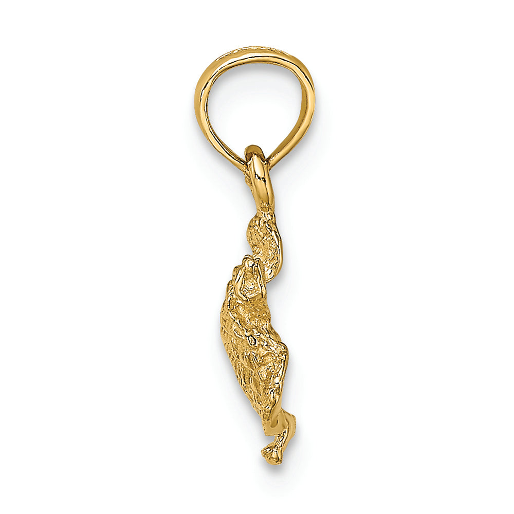 FJC Finejewelers 14k Yellow Gold Sea Turtle Charm