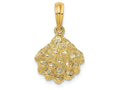 FJC Finejewelers 14k Yellow Gold Oyster Shell Charm