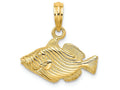 FJC Finejewelers 14k Yellow Gold Striped Fishengraved Charm