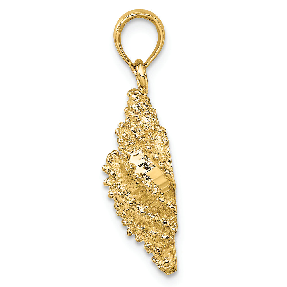 FJC Finejewelers 14k Yellow Gold Conch Shell with Texture Engraved Charm