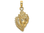 FJC Finejewelers 14k Yellow Gold Conch Shell with Texture Engraved Charm