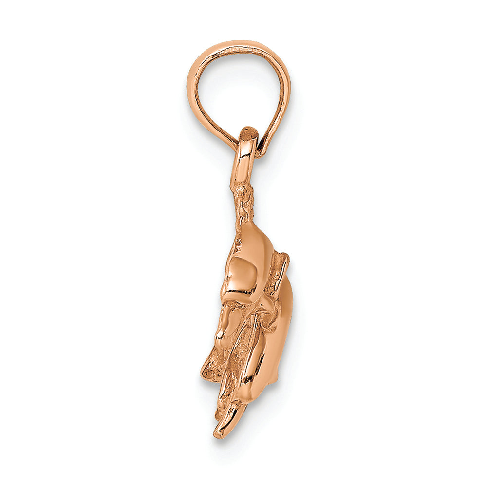 FJC Finejewelers 14k Rose Gold Double Dolphins Jumping Left Polish Charm
